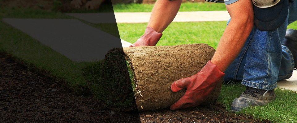Tylertown Landscapers